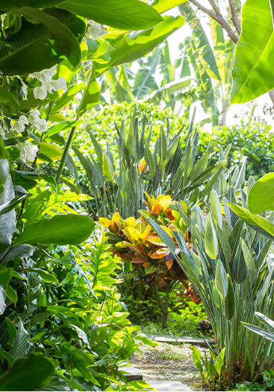 Agricultural Principles